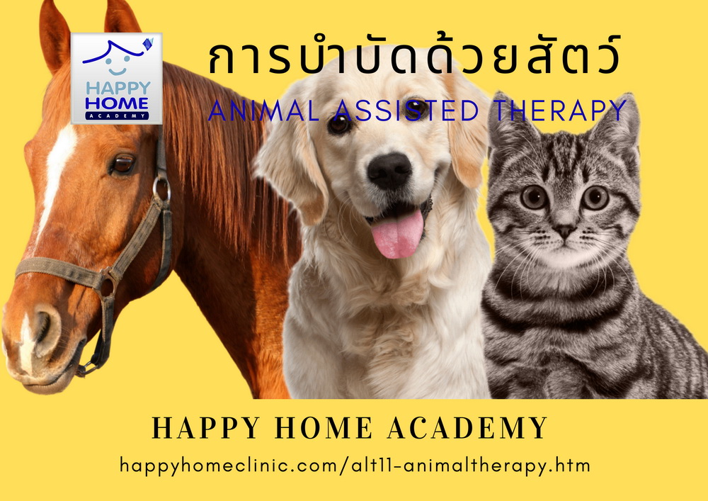 animal therapy