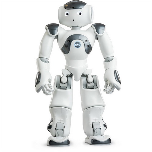 robot therapy nao