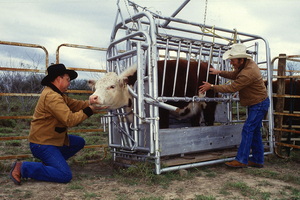 Temple Grandin